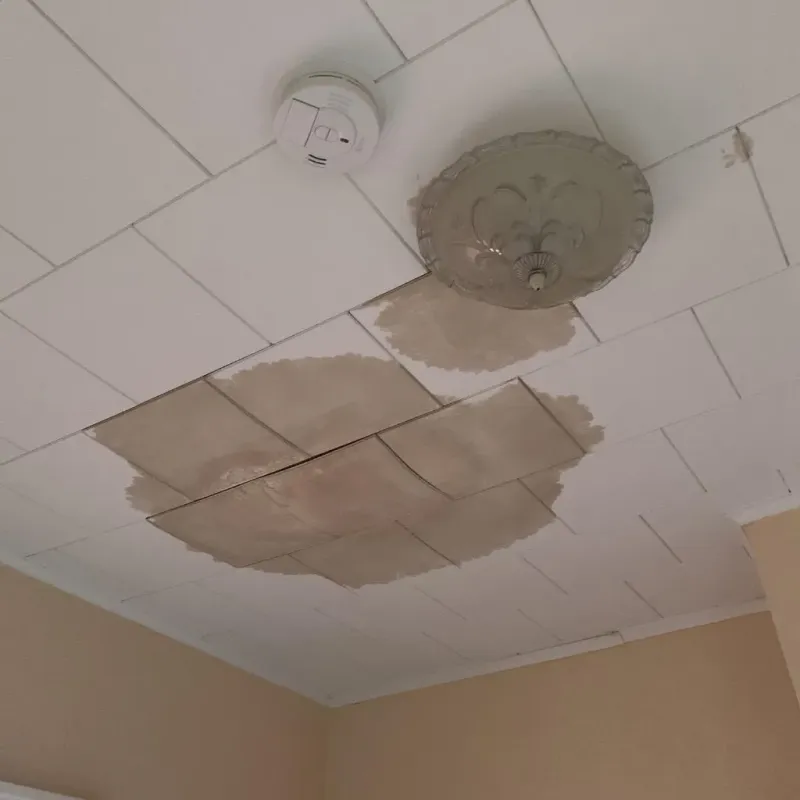 Ceiling Water Damage Repair in West Bloomfield Township, MI