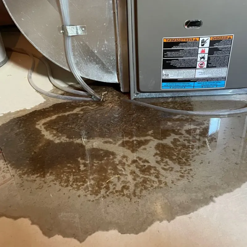 Pipe Burst and Leak Restoration in West Bloomfield Township, MI