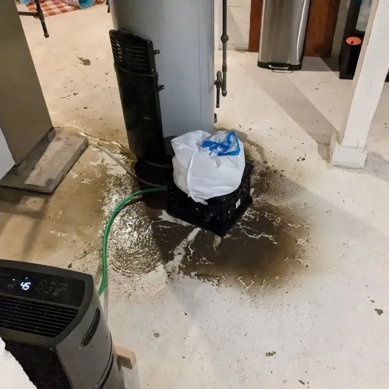 Sewage Backup Cleanup Service in West Bloomfield Township, MI